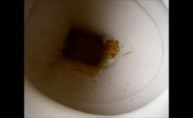 Creamy poop in the toilet