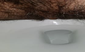 Hairy guy dropped a long turd in toilet
