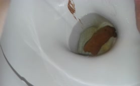 Mega drump dropped in toilet