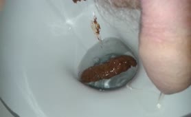 Huge turds dropped in toilet
