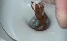 Big pile of poop in toilet