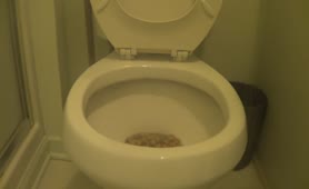 Eating fresh shit from toilet