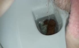 Big turds in toilet
